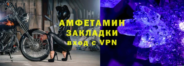 шишки Арсеньев